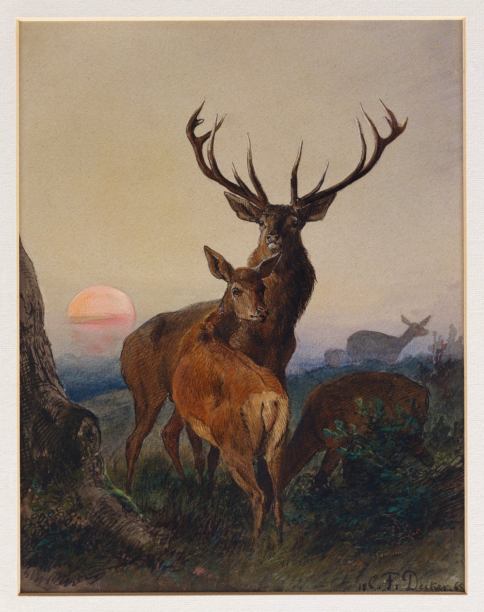 Egy szarvas szarvas erdős tájon naplementekor, 1865 alkotó: Charles Jones