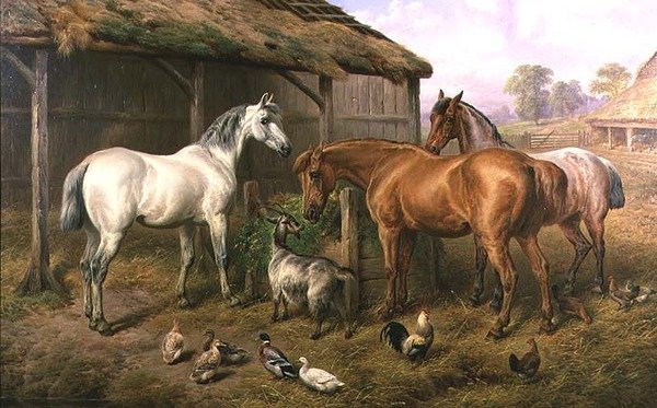 Farmyard Barátok alkotó: Charles Jones