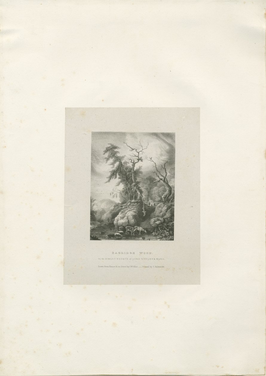 Himley Estate – „Bagridge Wood”: litográfia, nd [1789-1850] (nyomtatott) alkotó: Charles Joseph Hullmandel