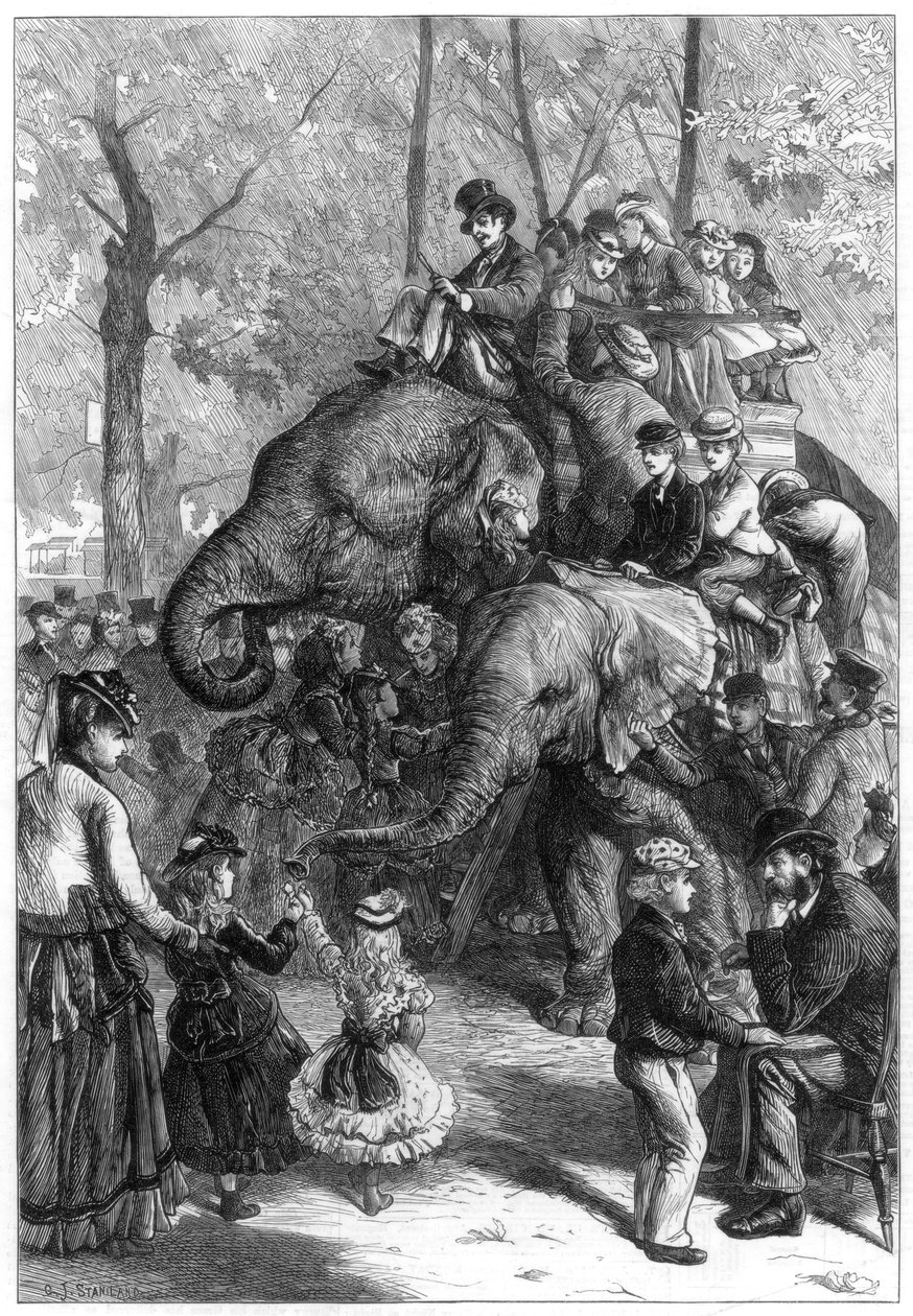 Hétfő délután a Zoológiai Társaság kertjeiben, 1871. alkotó: Charles Joseph Staniland