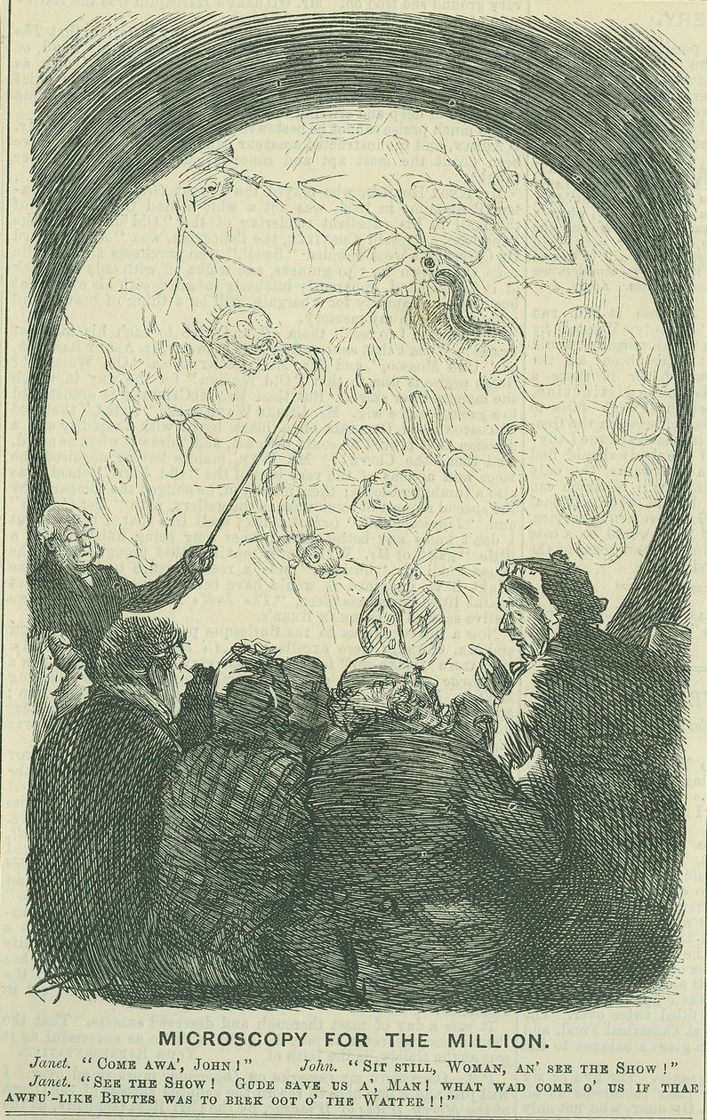 Mikroszkóp a millióknak: 1878 (metszet) alkotó: Charles Keene
