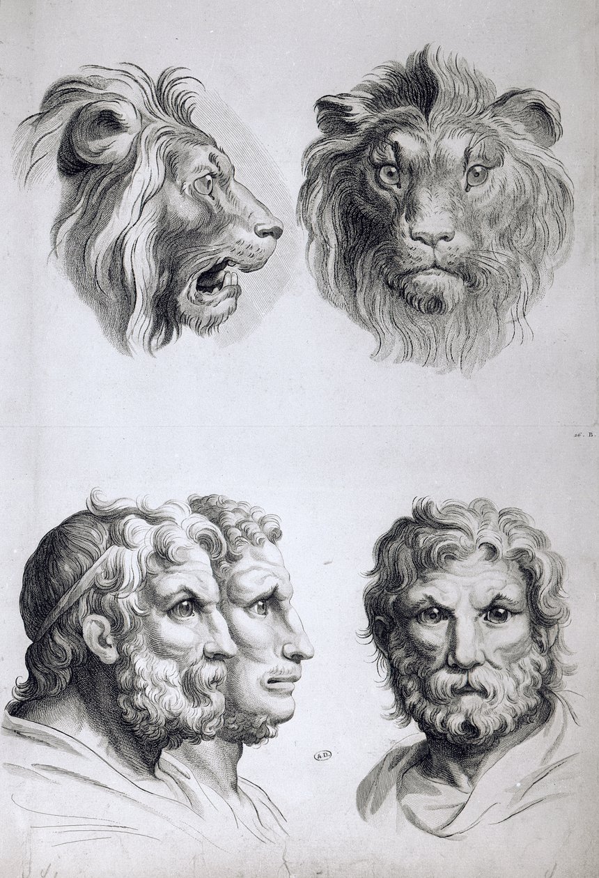 Hasonlóságok az oroszlán feje és az ember között, Le Brun „Arcképek könyve azoknak, akik elkezdenek rajzolni” című könyvéből alkotó: Charles Le Brun