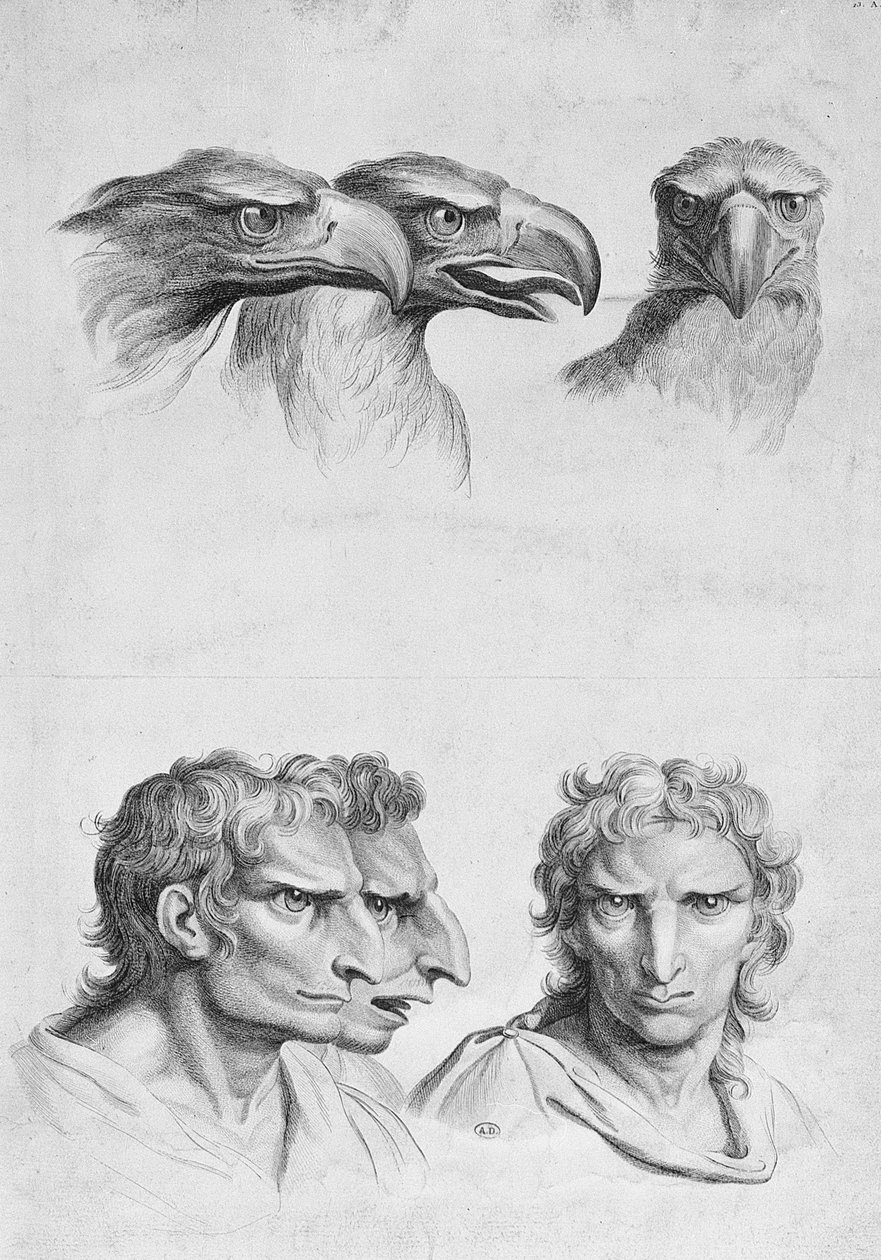 Hasonlóságok a sas feje és az ember között, Le Brun „Arcképek könyve azoknak, akik elkezdenek rajzolni” című könyvéből alkotó: Charles Le Brun