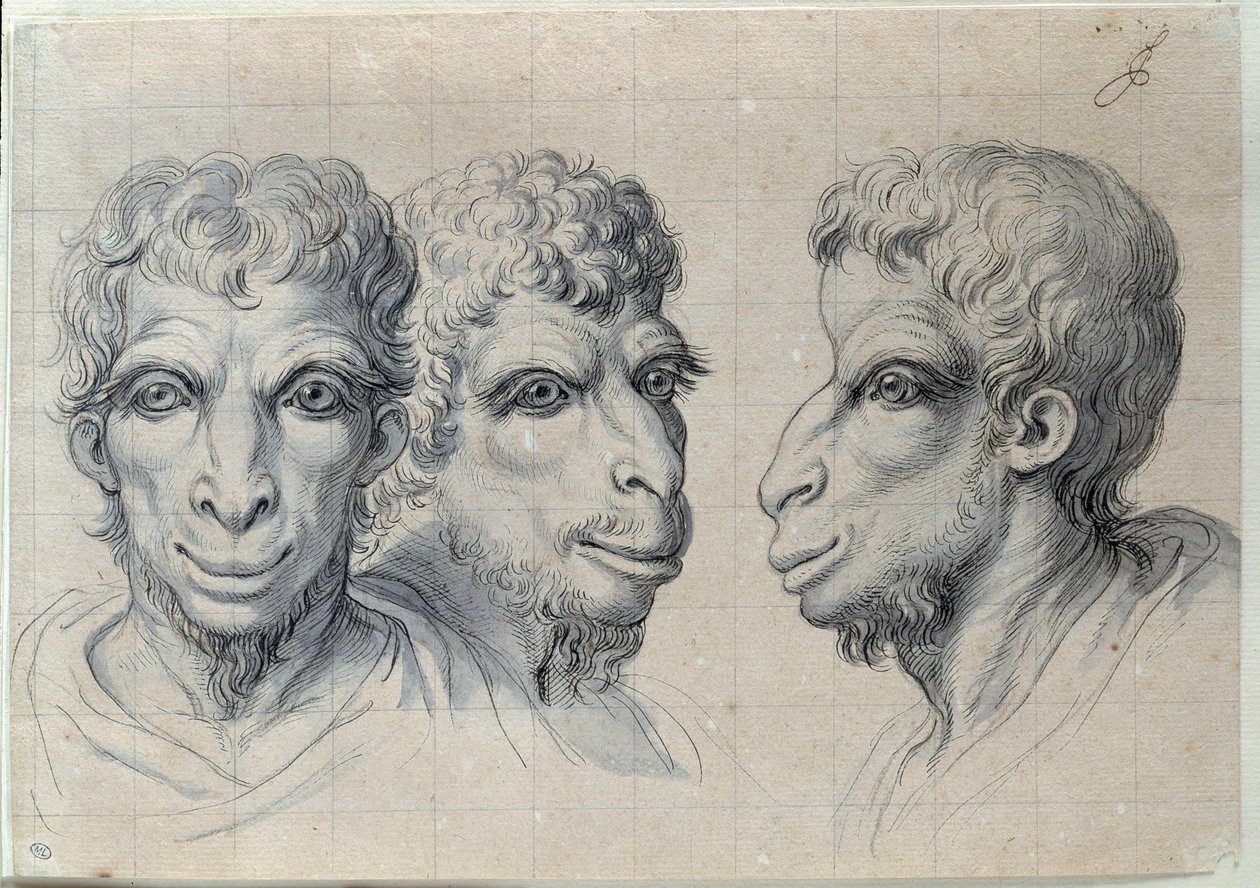 Tanulmányok három emberfejről, akik a teve fiziognómiájára emlékeztetnek Charles Lebrun (Le Brun) rajza (1619-1690) 17. század. Homályos. 0,22x0,32 m. Párizs, Louvre Múzeum alkotó: Charles Le Brun