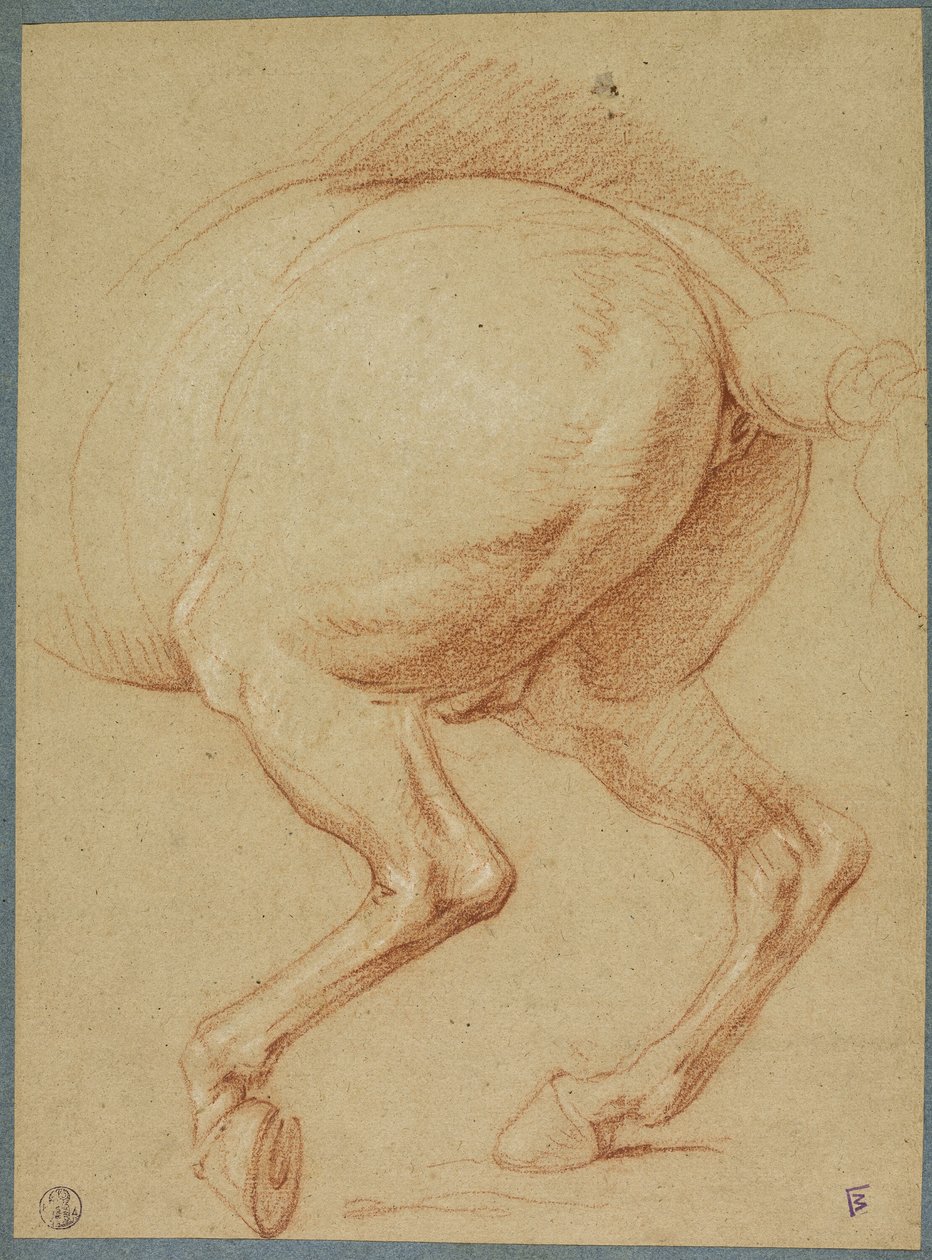 A ló hátsó lábai alkotó: Charles Le Brun