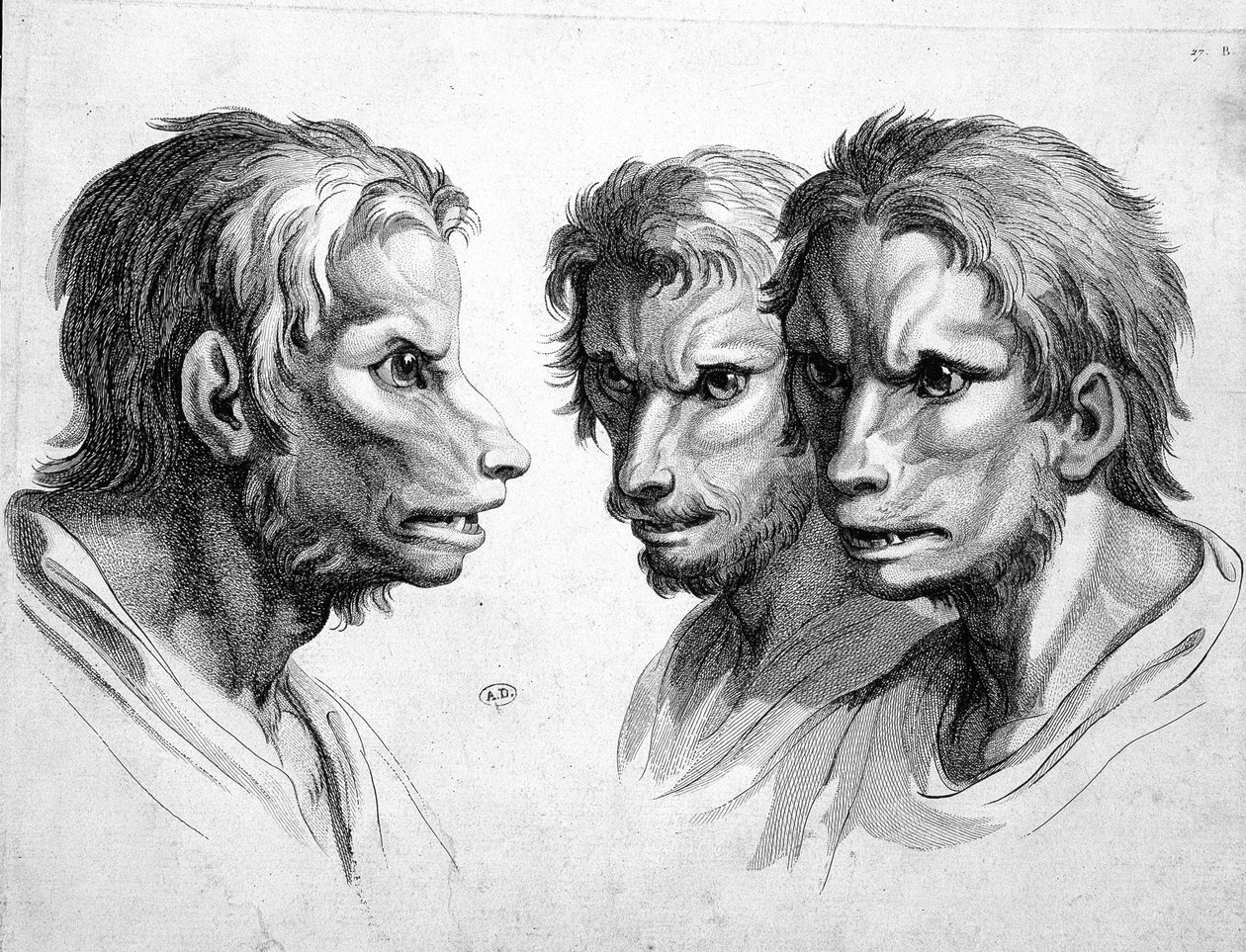 A vérfarkas három arca (vérfarkas) - Le brun alkotó: Charles Le Brun
