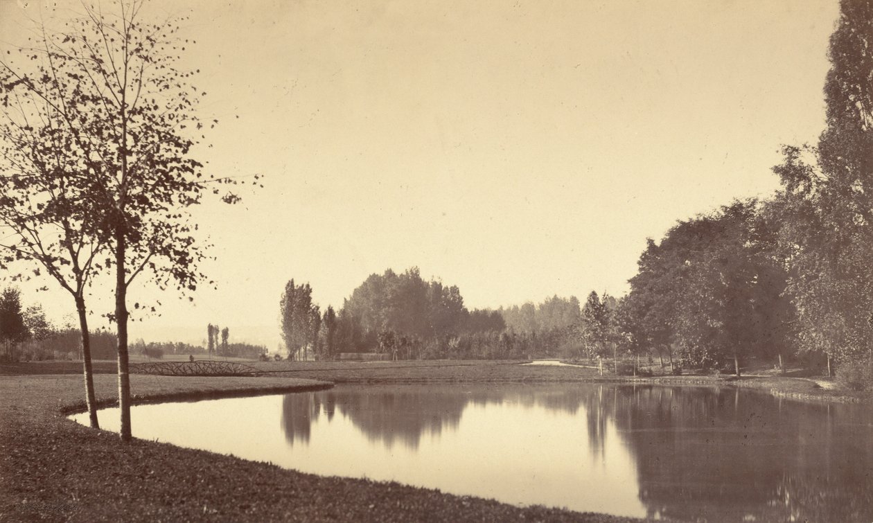 Bois de Boulogne, 1858. alkotó: Charles Marville