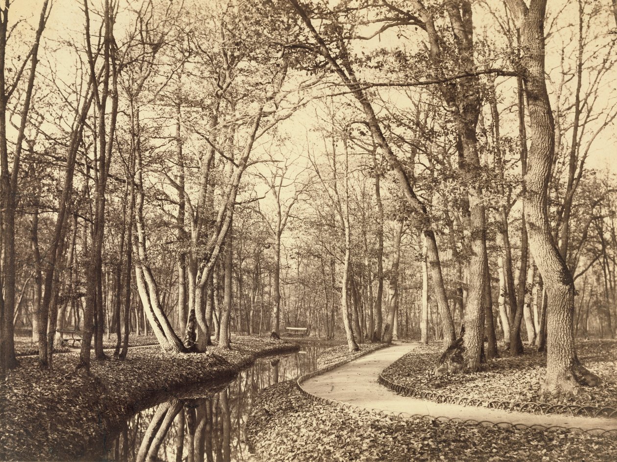 Boulogne-i erdő, Párizs alkotó: Charles Marville