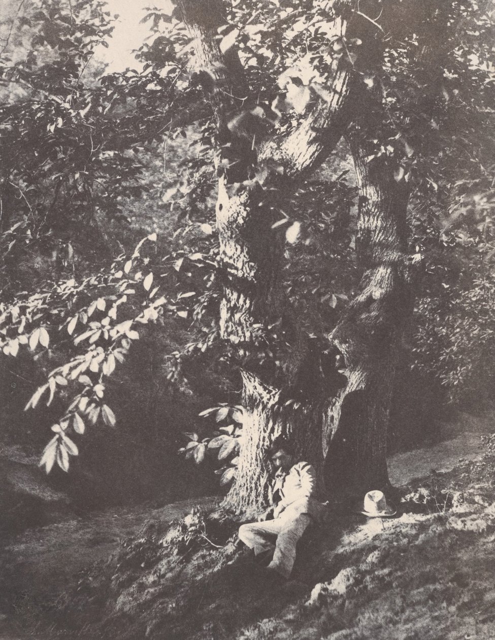 Gesztenyefa tövében fekvő ember, 1850-53. alkotó: Charles Marville