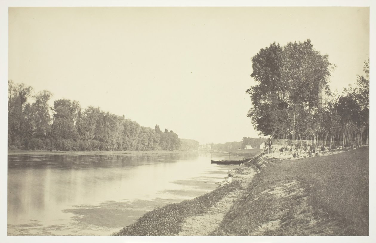 Cím nélkül, c. 1850. [Fák a víz közelében a Bois de Boulogne-ban, egy párizsi park]. alkotó: Charles Marville