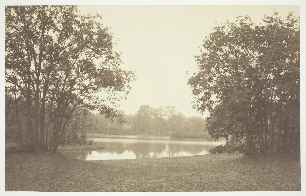 Cím nélkül, c. 1850. [Fák a víz közelében a Bois de Boulogne-ban, egy párizsi park]. alkotó: Charles Marville