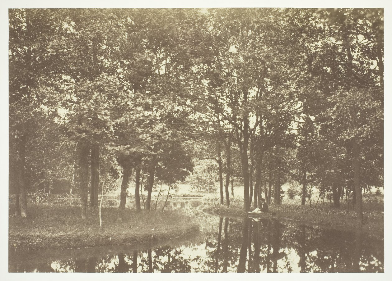 Cím nélkül, c. 1850. [Fák a víz közelében a Bois de Boulogne-ban, egy párizsi park]. alkotó: Charles Marville