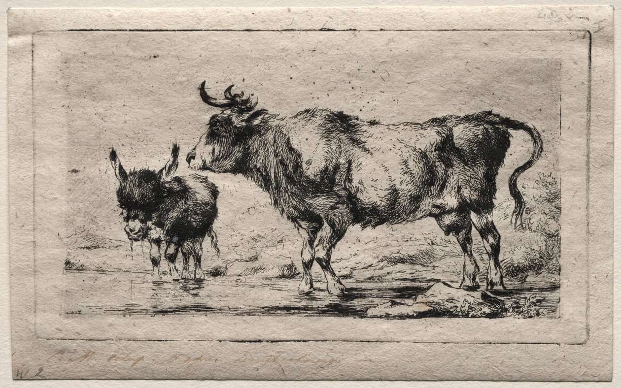 Tehén és szamár, 1849. alkotó: Charles Meryon