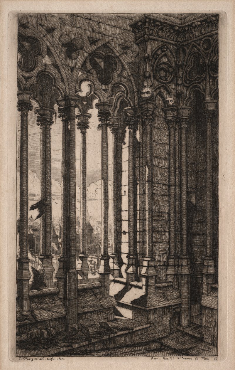 Párizsi rézkarcok: A Notre Dame galériája, 1853. alkotó: Charles Meryon