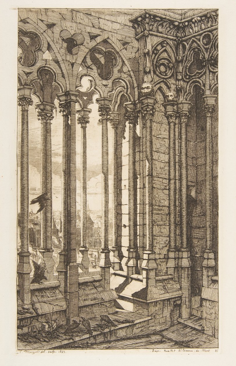 Galéria, Notre-Dame-székesegyház, Párizs alkotó: Charles Meryon