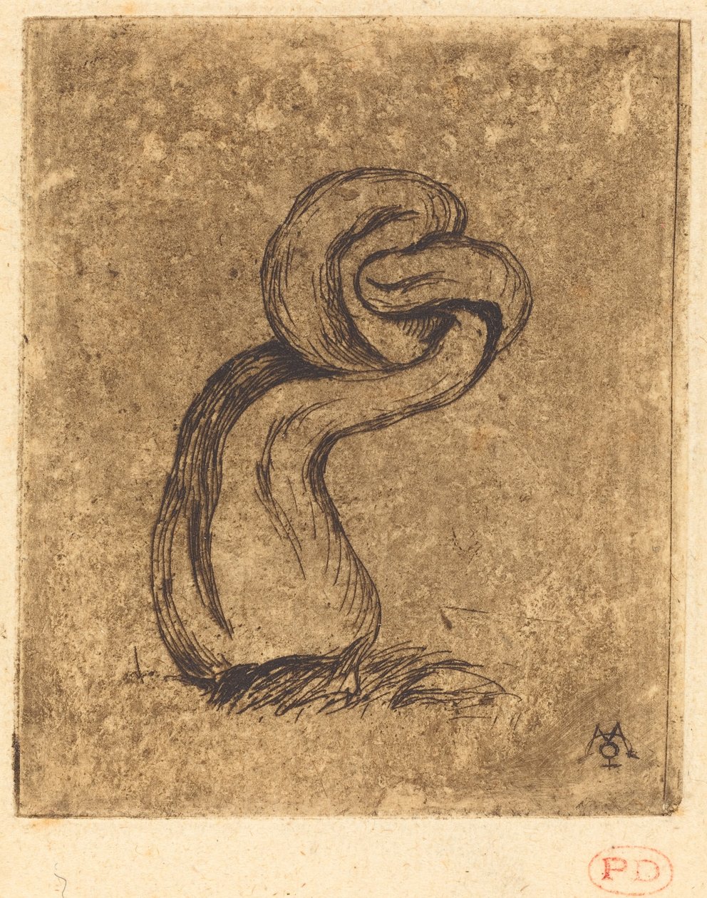 Le malingre kriptojáték (The Sickly Cryptogam) alkotó: Charles Meryon