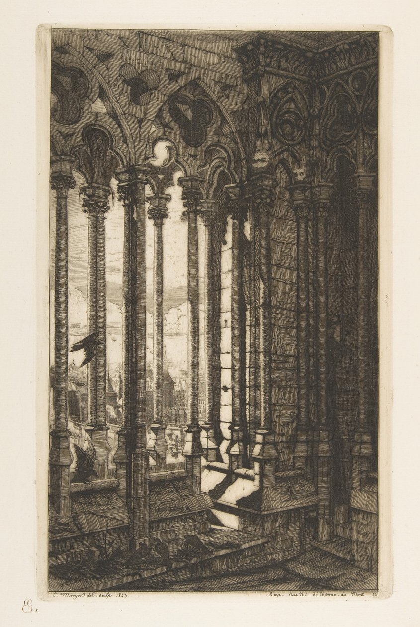 A Galéria, a Notre-Dame-székesegyház, Párizs, az „Etchings of Paris” című műből alkotó: Charles Meryon