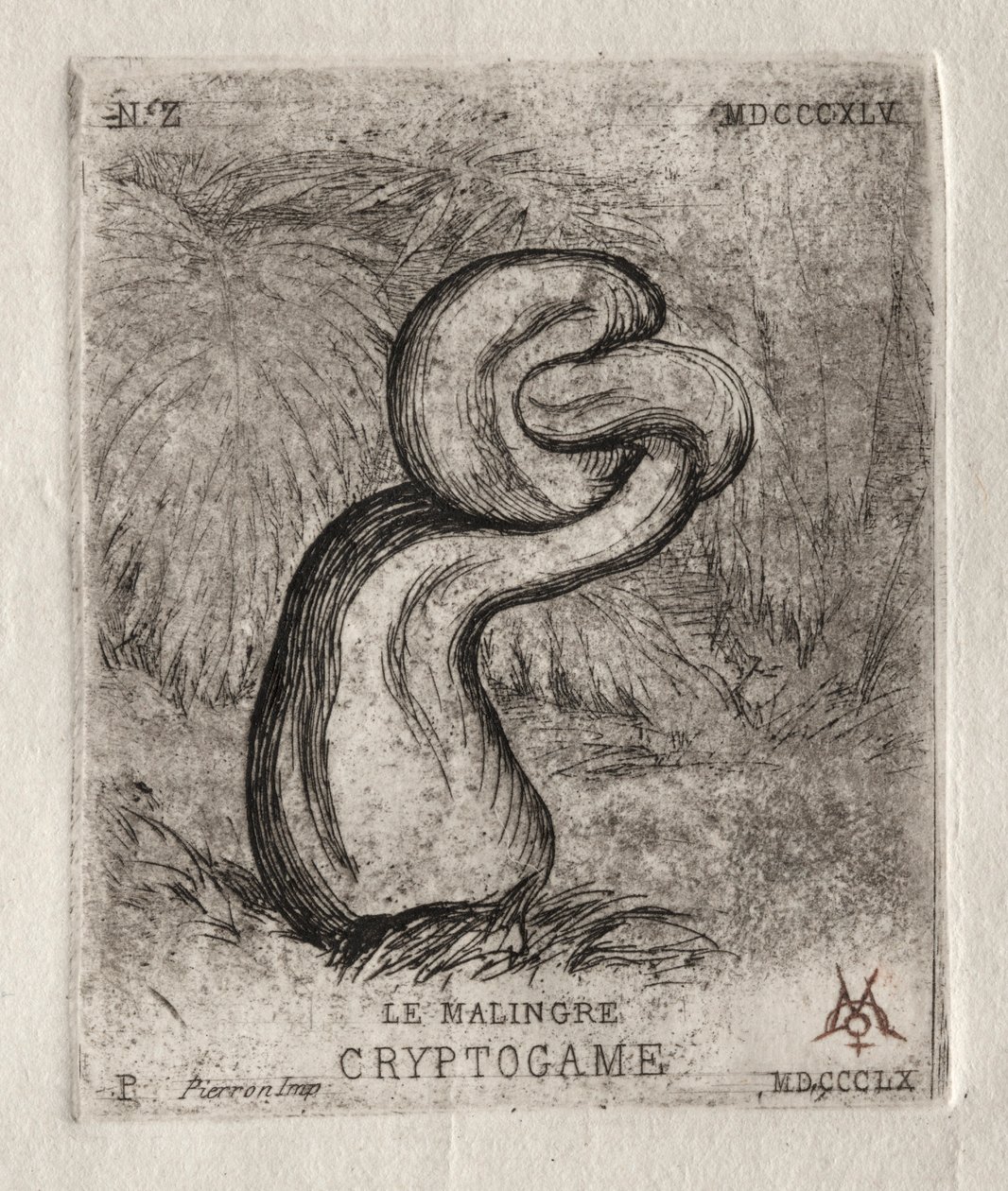 The Sickly Cryptogam, 1860. alkotó: Charles Meryon