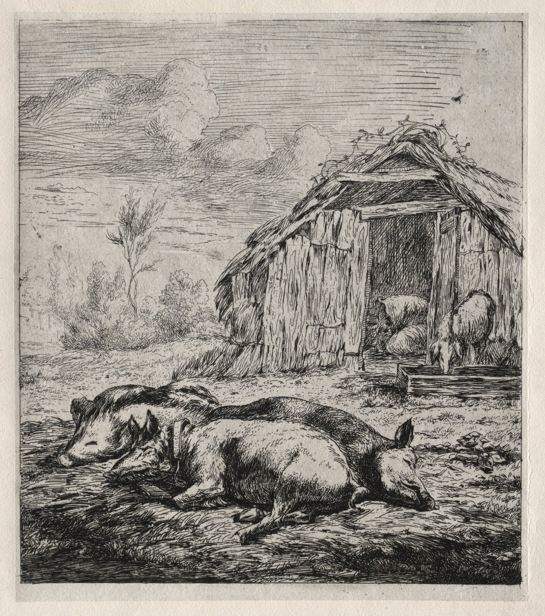 Három disznó hever egy büfé előtt, 1850. alkotó: Charles Meryon