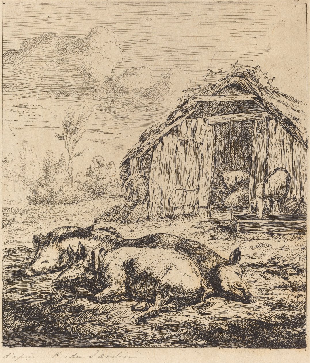 A három disznó az istálló előtt hever (három disznó hever az istálló előtt) alkotó: Charles Meryon after Karel Dujardin