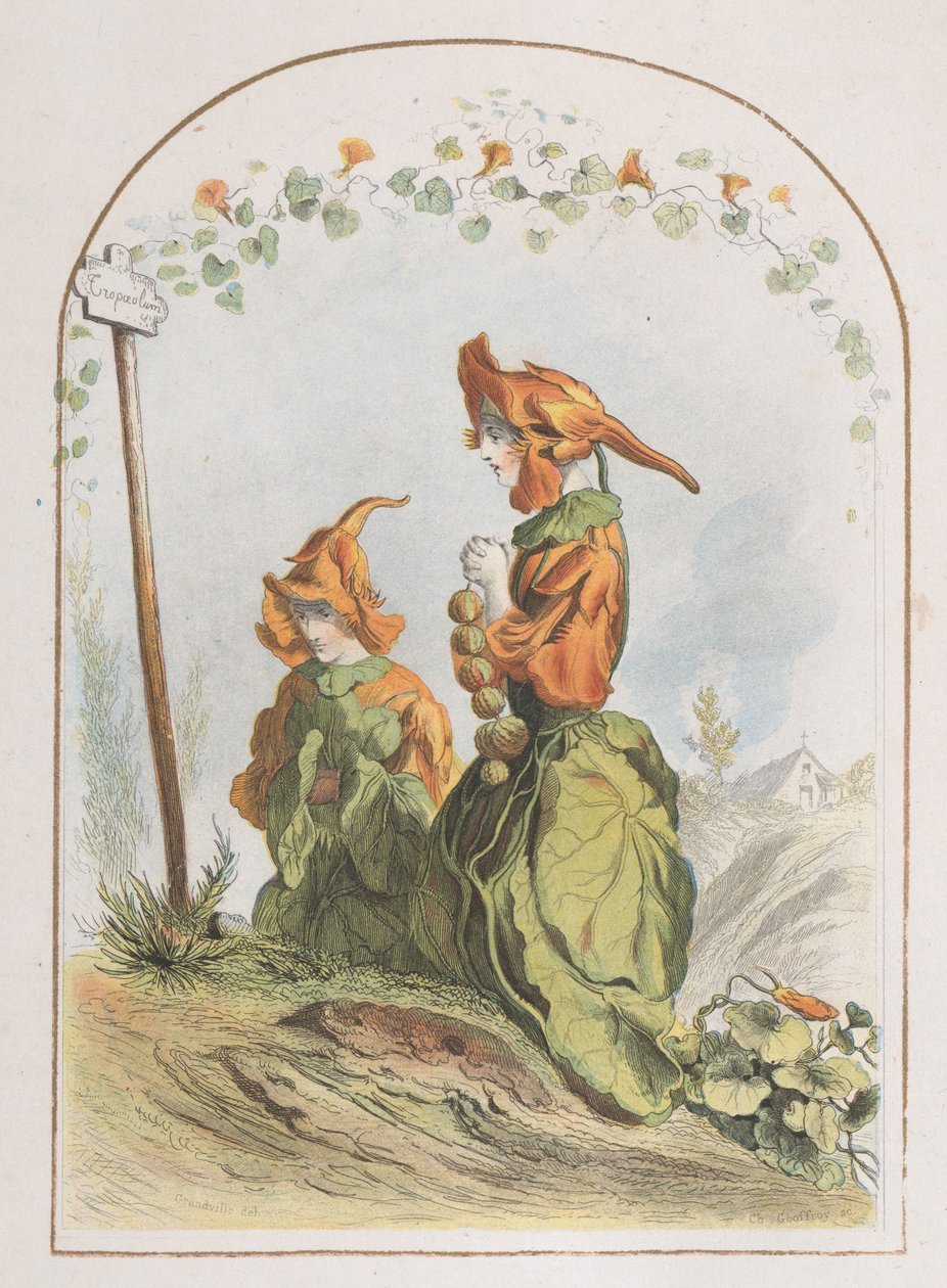 Nasturtium, a Les Fleurs Animées, 1820-70., 1820-70. alkotó: Charles Michel Geoffroy