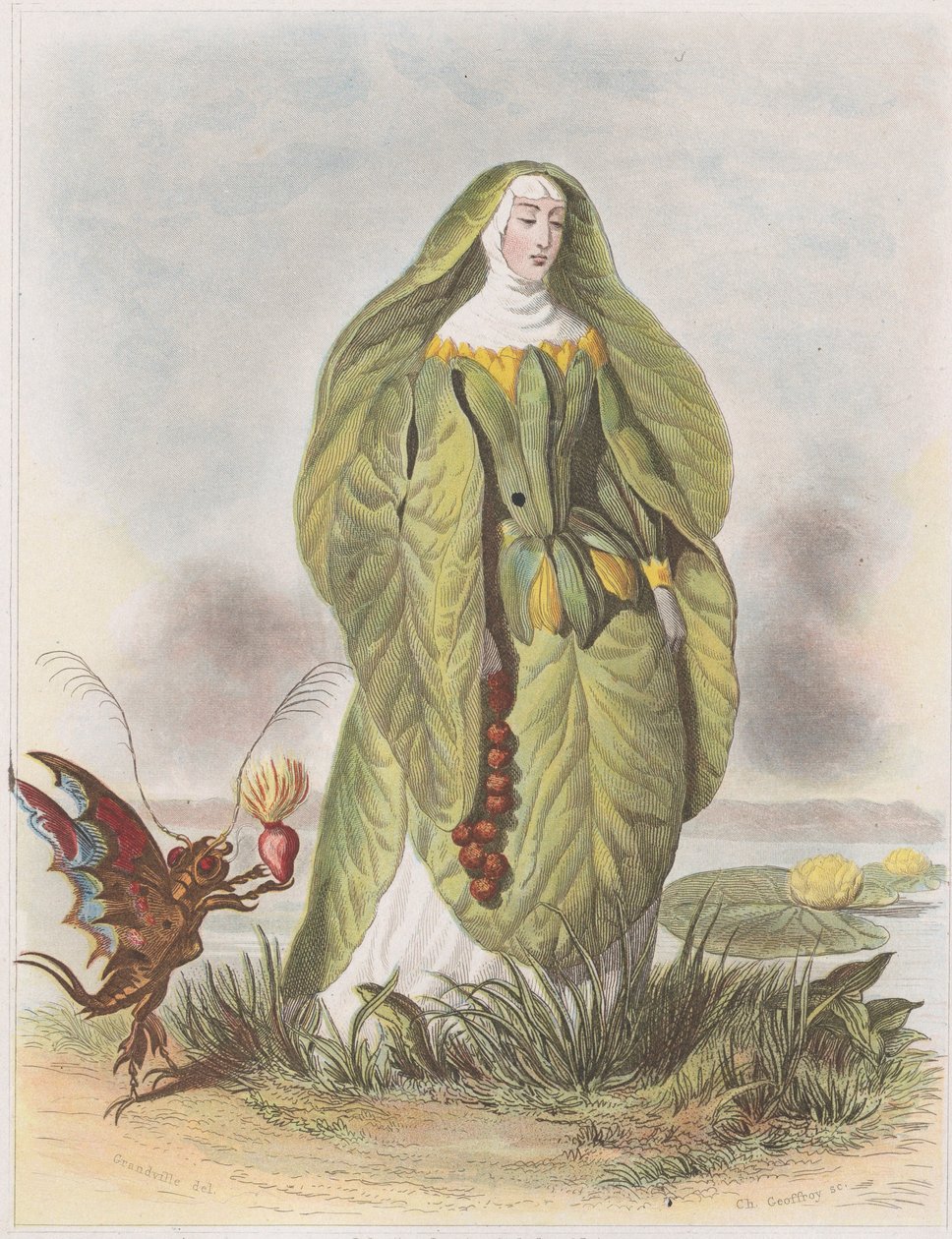Tavirózsa, a Les Fleurs Animées-ből, 1847. alkotó: Charles Michel Geoffroy