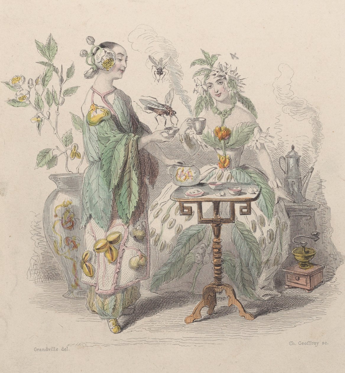Tea és kávé, Les Fleurs Animées, 1847. alkotó: Charles Michel Geoffroy