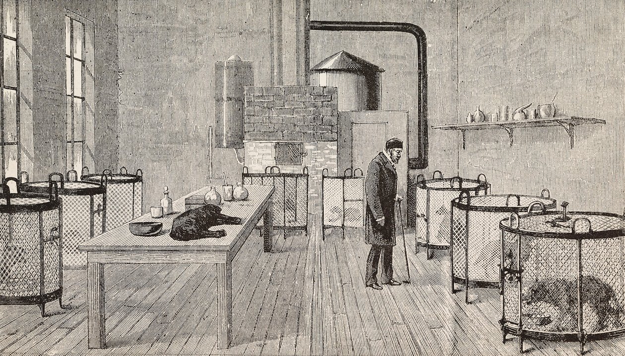 Kutyák ketrecben Louis Pasteur (1822-1895), francia kémikus és biológus laboratóriumában, Párizs, Franciaország, metszet a L