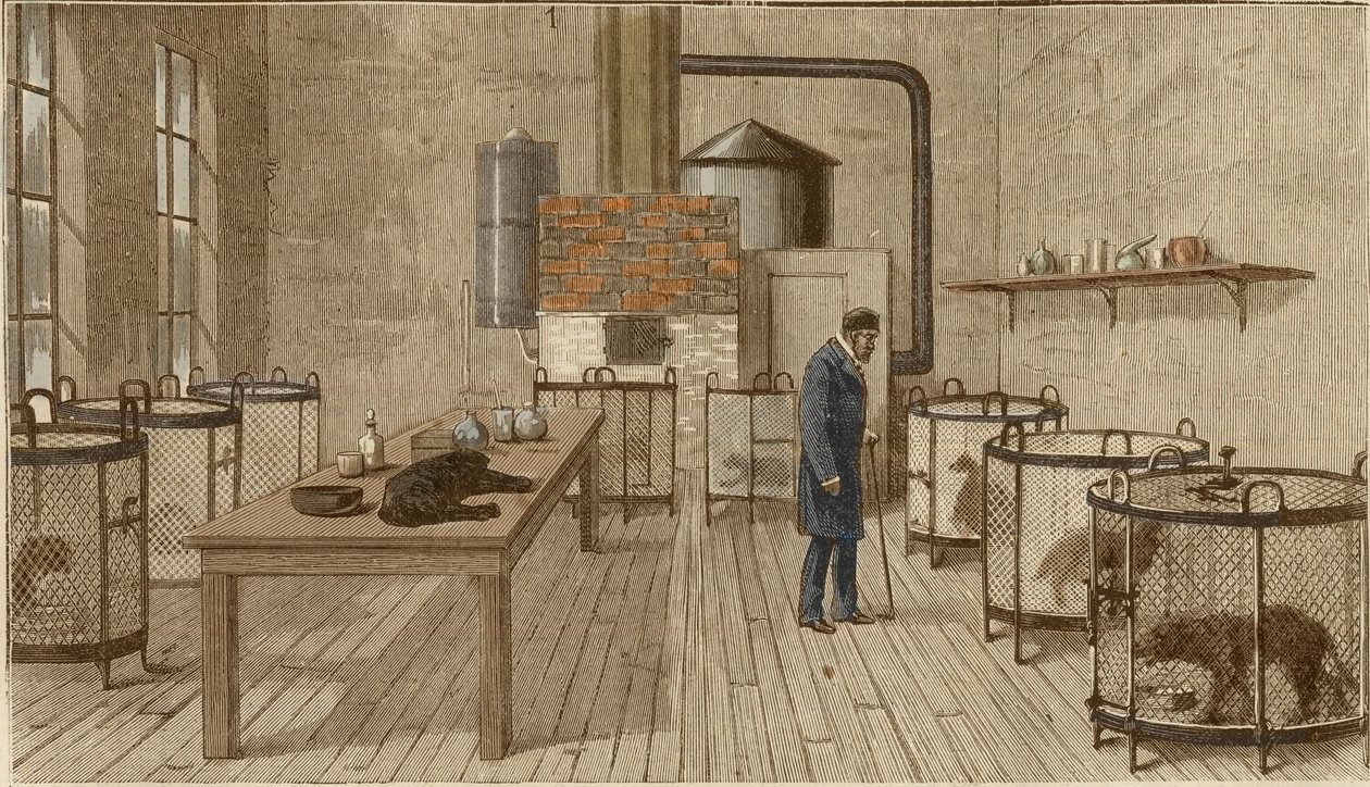 Kutyák ketrecben Louis Pasteur laboratóriumában alkotó: Charles Paul Renouard