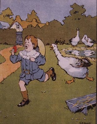 A Gander üldözi a Georgie -t ugratni, a 