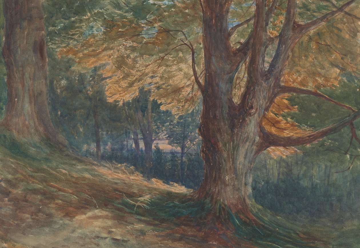 Fák egy dombon egy erdős tájon alkotó: Charles Reginald Aston
