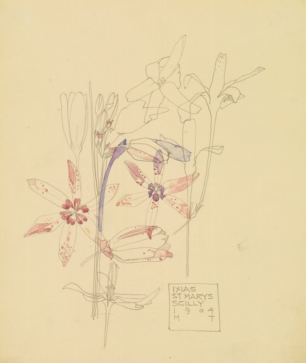 Ixias alkotó: Charles Rennie Mackintosh