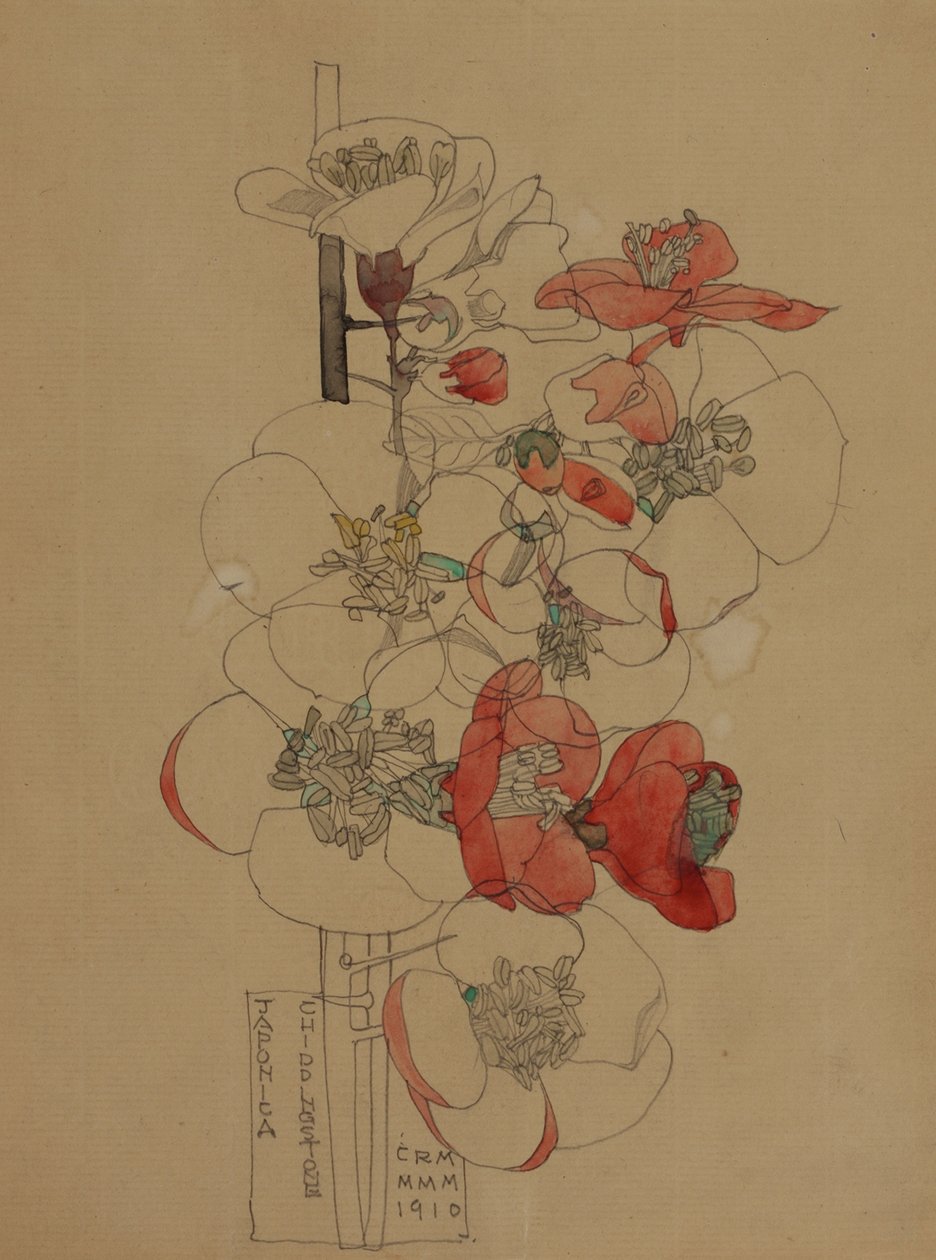 Japonica alkotó: Charles Rennie Mackintosh