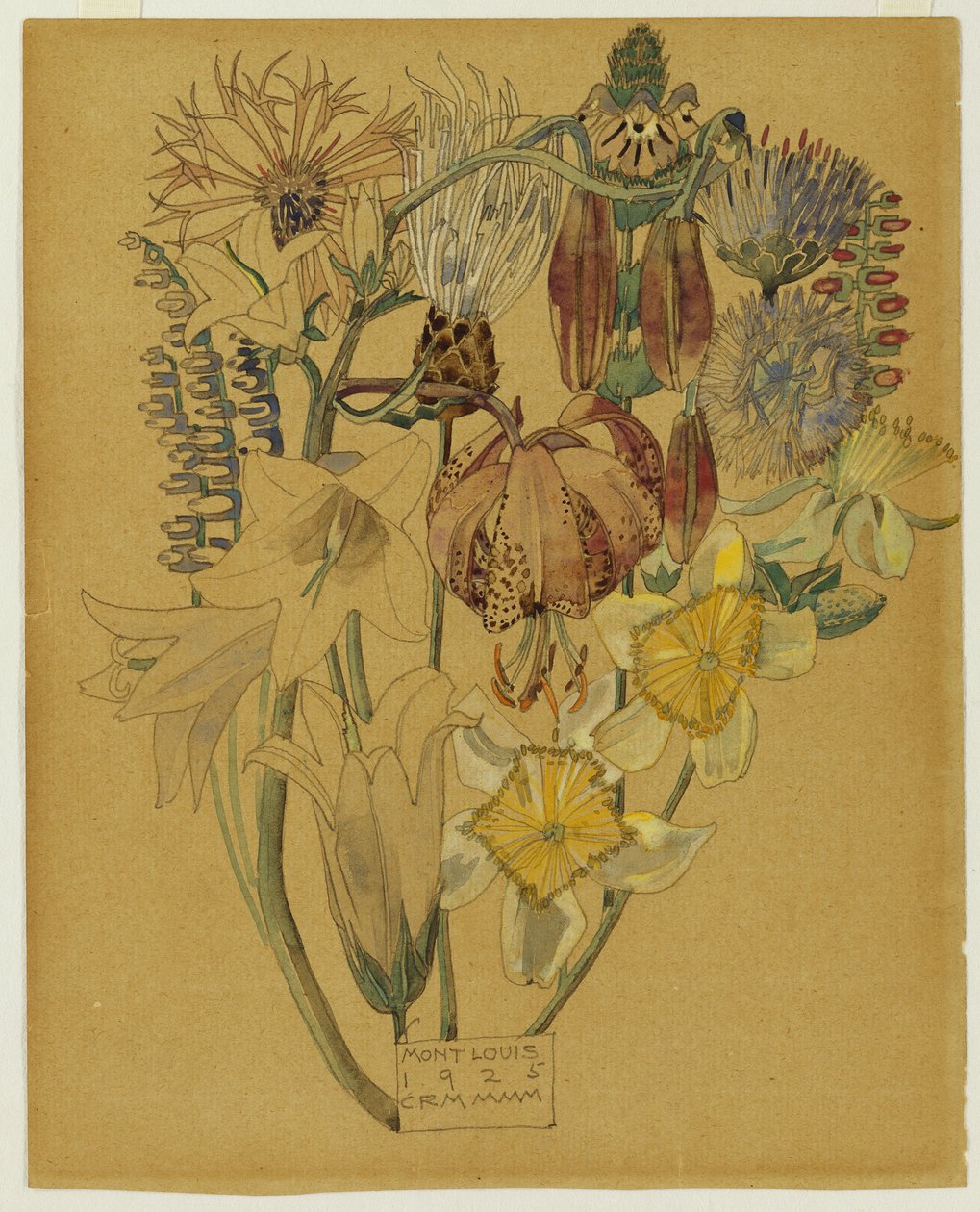 Mont Louis - Virágtanulmány, 1925 alkotó: Charles Rennie Mackintosh