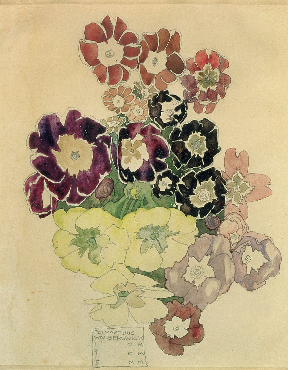 Polyanthus, Walberswick, 1915 alkotó: Charles Rennie Mackintosh