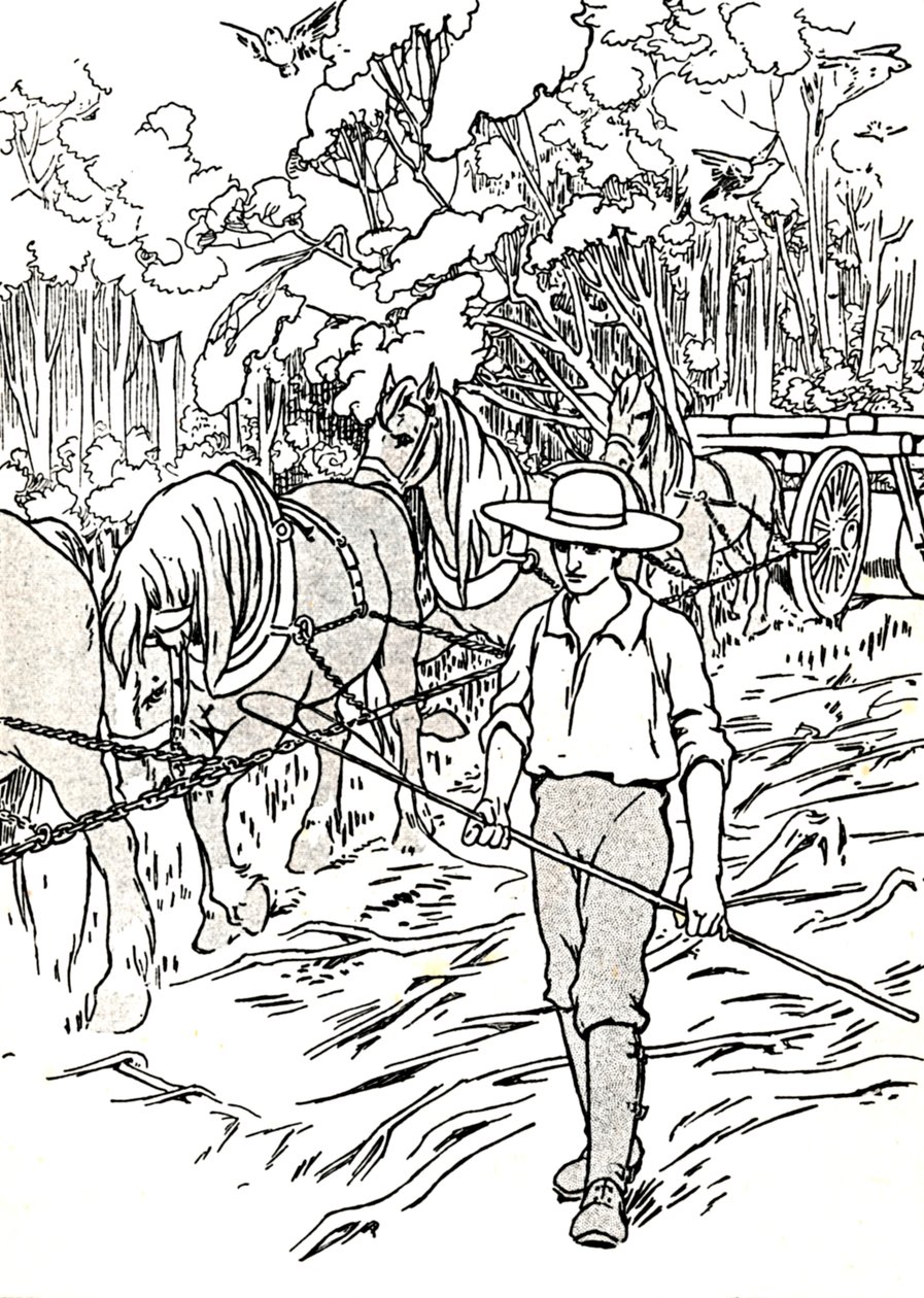 Egy telepes, aki megtisztítja a földjét, 1912 alkotó: Charles Robinson