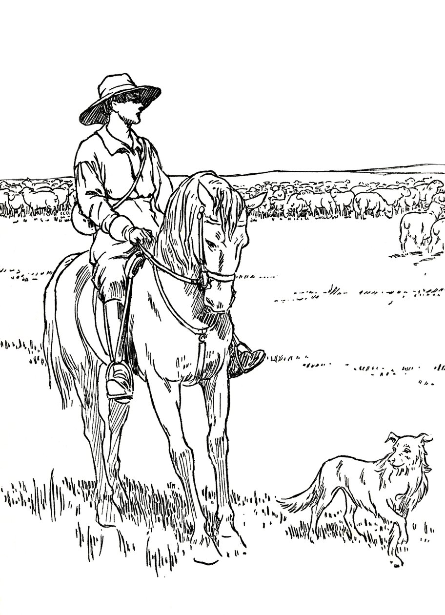 Egy birkaállomás Ausztráliában, 1912 alkotó: Charles Robinson