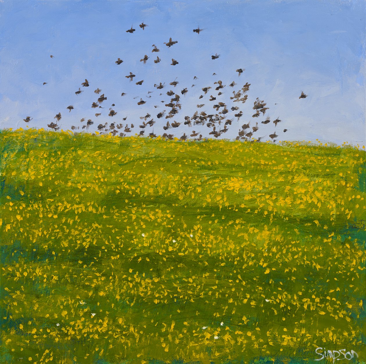 Starlings  Buttercups, Iona, 2015 (olaj, vászon) alkotó: Charles Simpson