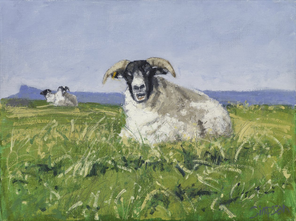 West Coast Sheep, 2017 (olaj, vászon) alkotó: Charles Simpson