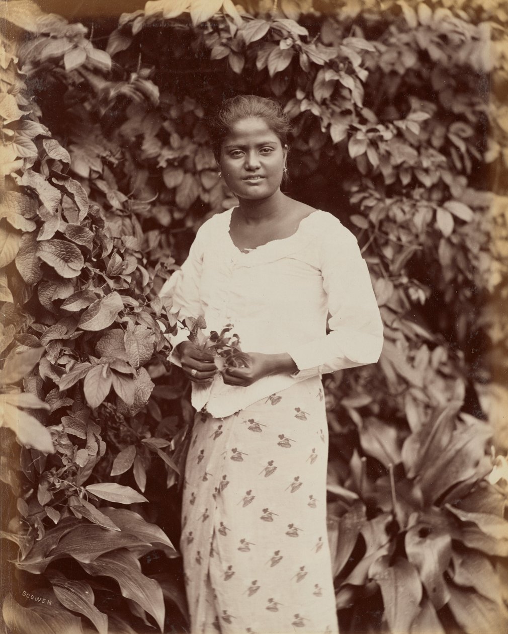 Singhalese alkotó: Charles T. Scowen