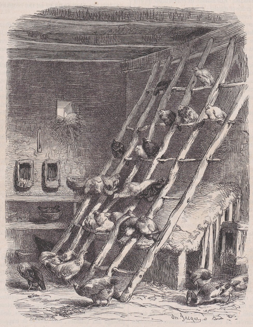 Látogatás egy farmon - The Roost, a Le Magasin Pittoresque-ből, kb. 1852. alkotó: Charles Tamisier