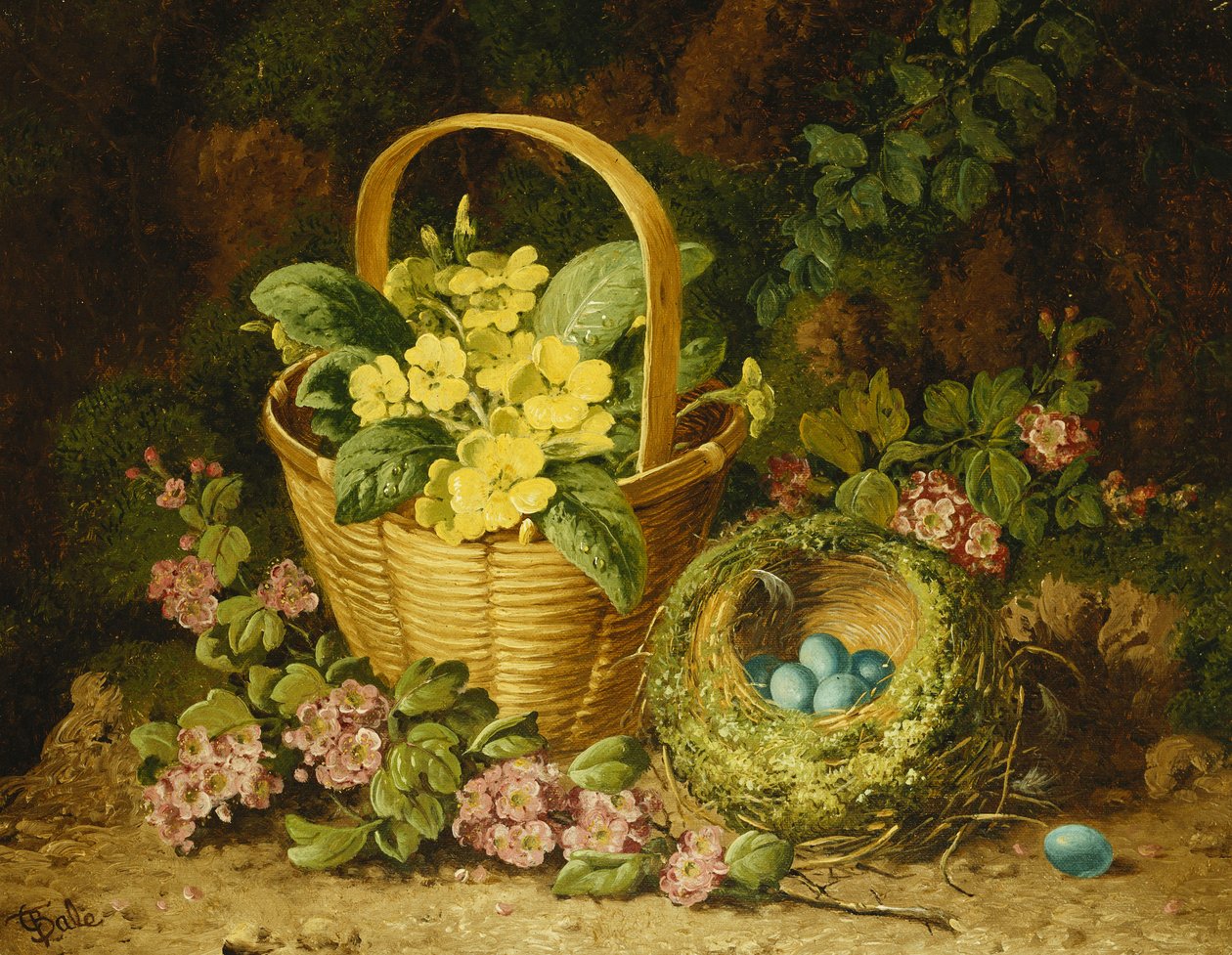 Primula a kosárban, Japonica és egy madárfészek, alkotó: Charles Thomas Bale