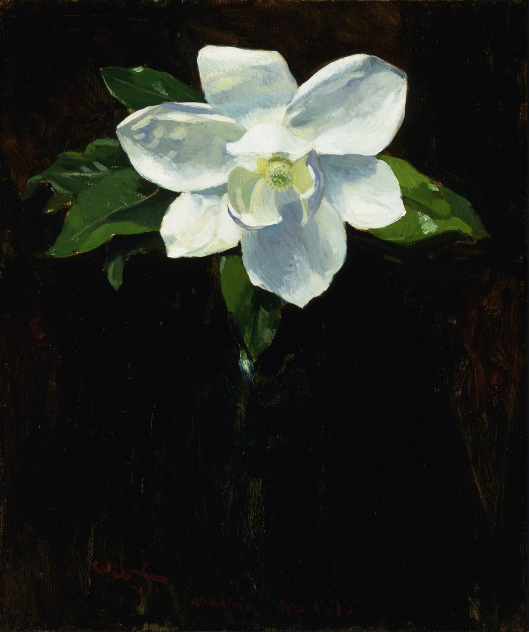Magnolia alkotó: Charles Walter Stetson