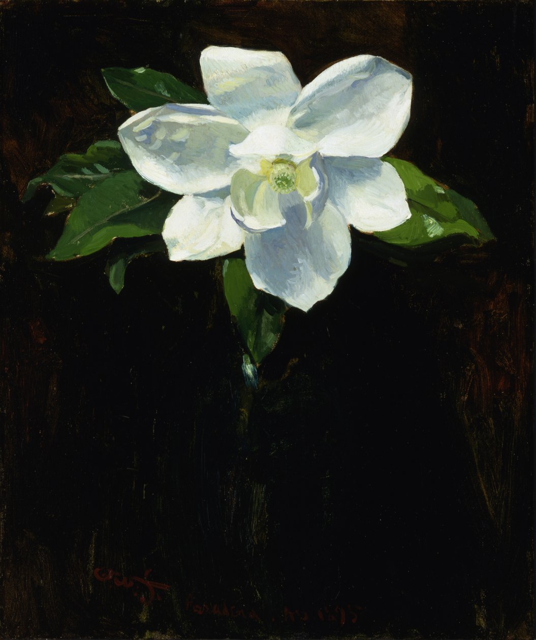 Magnólia, 1895. alkotó: Charles Walter Stetson