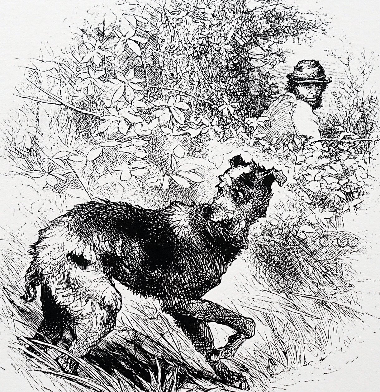 Egy orvvadász a lurcherével alkotó: Charles Whymper