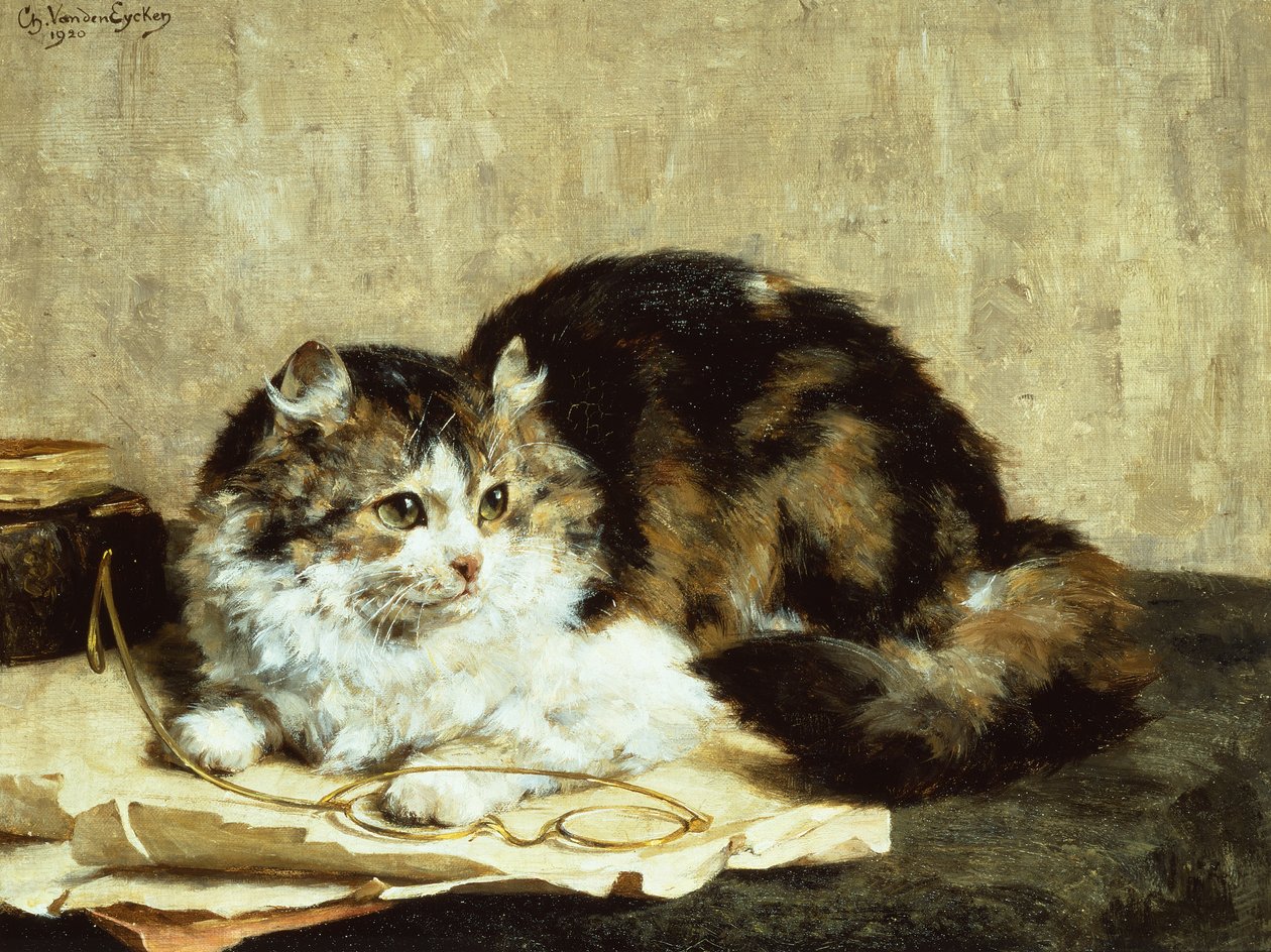 Egy cirmos macska alkotó: Charles van den Eycken