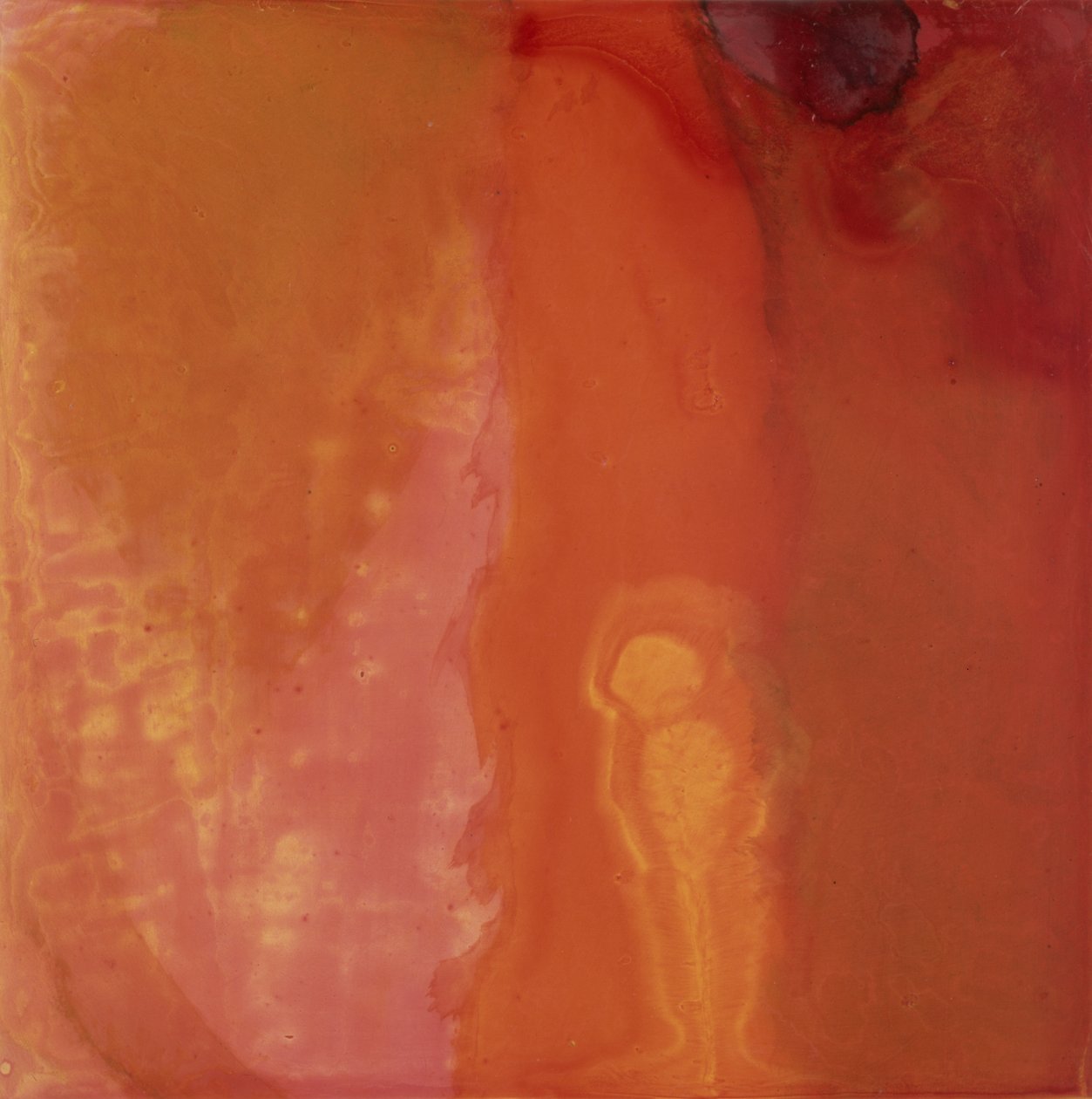 Cheese Fish, 1997 (olaj és máz a gesso deszkán) alkotó: Charlotte Johnstone
