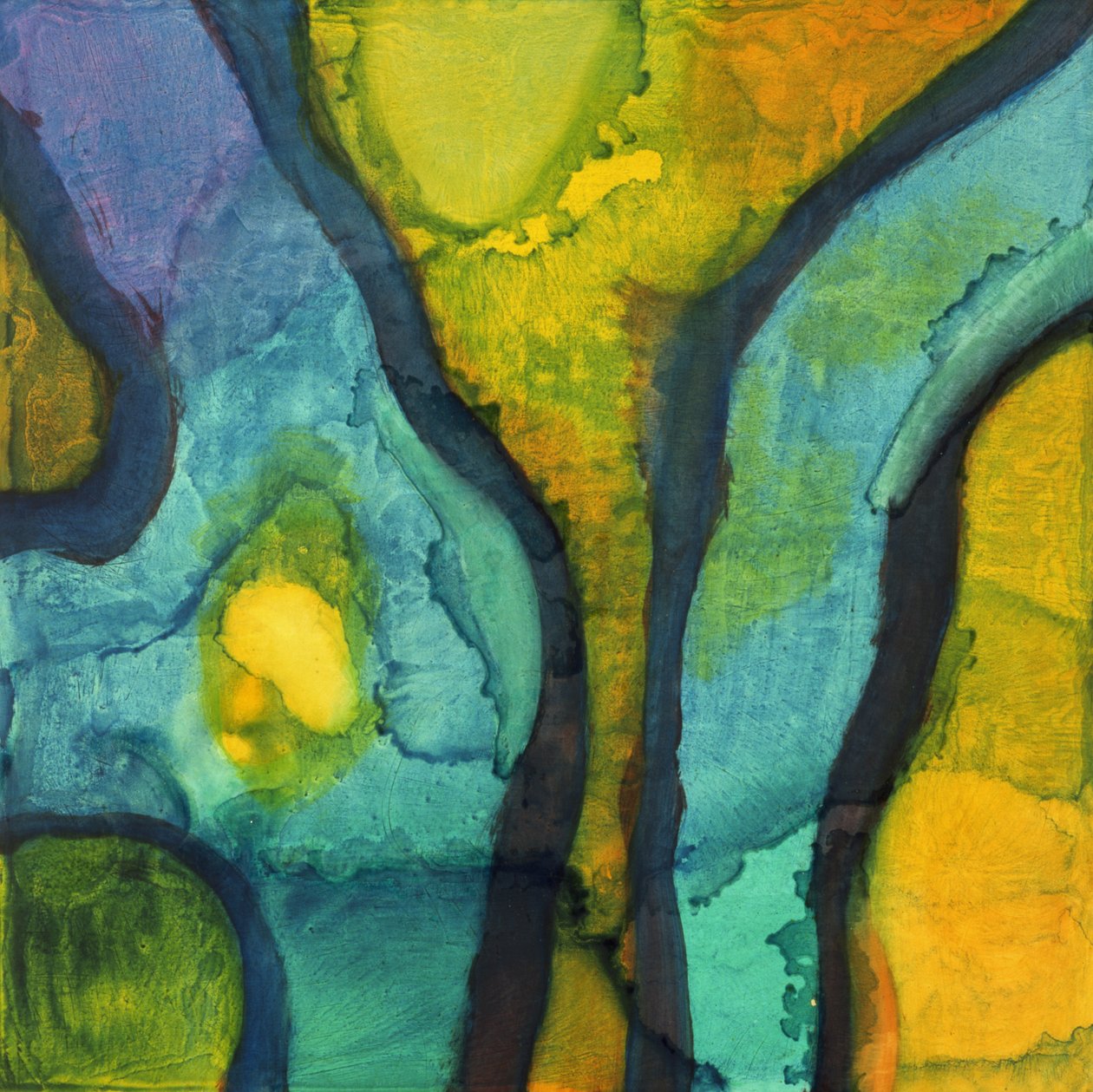 Goby, 1997 (olaj és máz gesso táblán) alkotó: Charlotte Johnstone