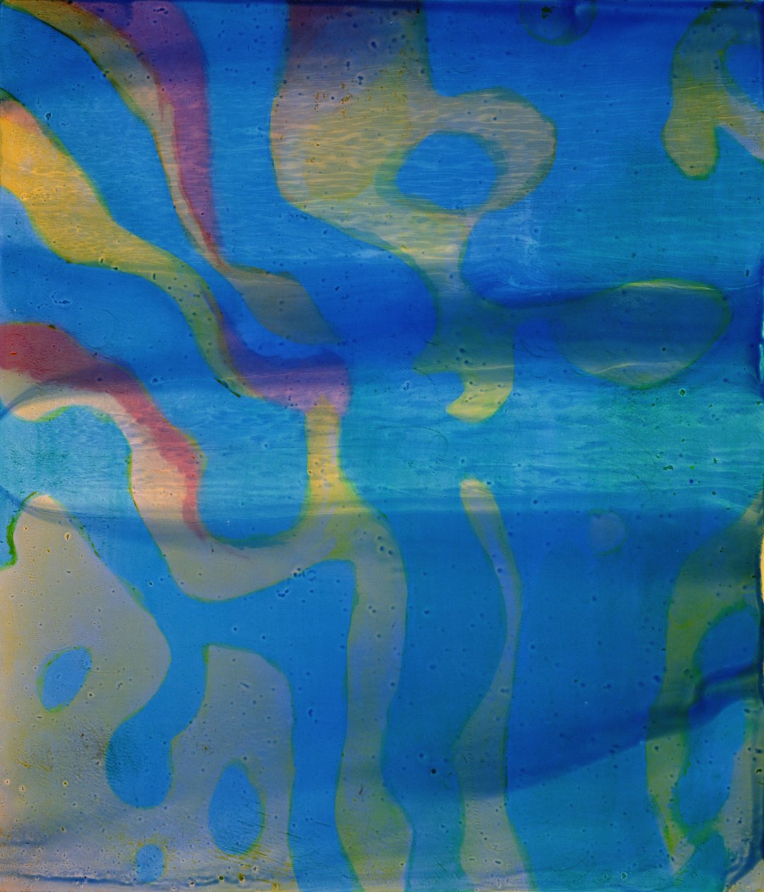 Indian Swarthy, 2000 (olaj, gesso) alkotó: Charlotte Johnstone