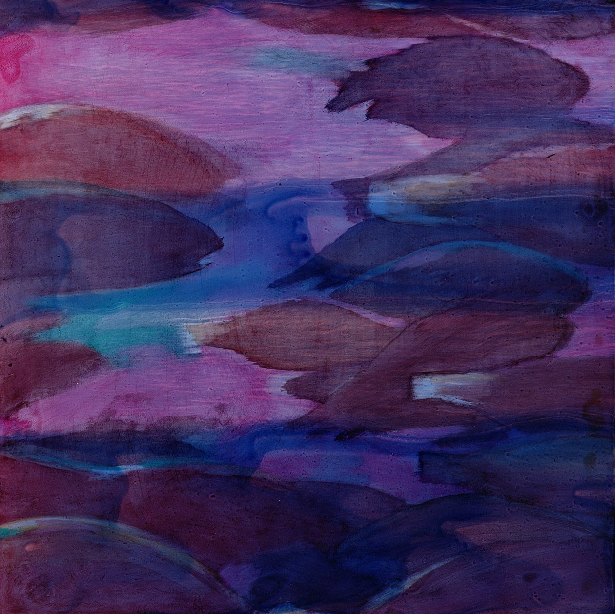 Purple Parrots VI, 2000 (olaj, gesso) alkotó: Charlotte Johnstone